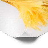 Halfmoon Betta Fish Foto Afdruk (Hoek)