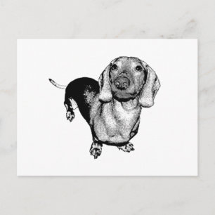 Halftone Black en White Photo Dachsund Doxie Briefkaart