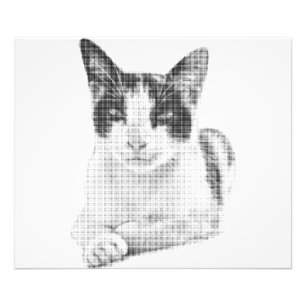 Halftone Kat Foto Afdruk