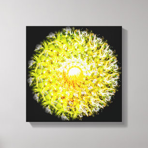 Halfweg naar de zonnepenseelstreek Spiral Mandala Canvas Afdruk
