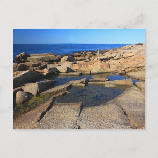 Halibut Point Tide Pool Rockport Cape Ann Briefkaart (Voorkant)