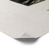 Halibut schoener poster (Hoek)