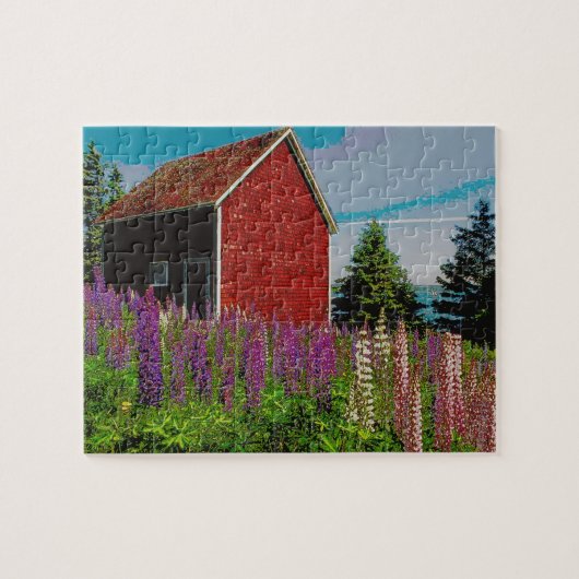 halifax lupine , nova scotia legpuzzel (Horizontaal)