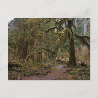 Hall of Mosses Briefkaart