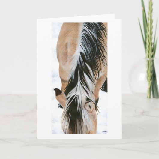 Hallie's Mane Kaart (Voorkant)