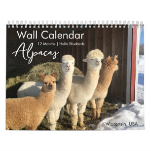 hallo 2025 Alpaca Kalender by