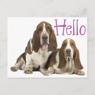 Hallo Basset Hound Puppy Hond Paars Briefkaart