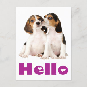 Hallo Beagle Puppy Dog Greeting Post Kaart