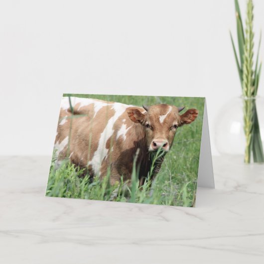 Hallo Betsy, Kaart (Voorkant)