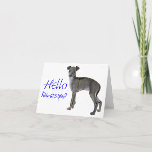 Hallo Blauw grijs Italiaans Greyhound Puppy Dog Kaart