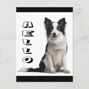 Hallo Border Collie Puppy Hond Grafische Postkaart