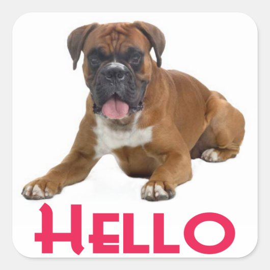 Hallo Boxer Puppy Hondengroet Sticker (Voorkant)