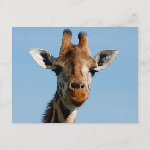 hallo briefkaart