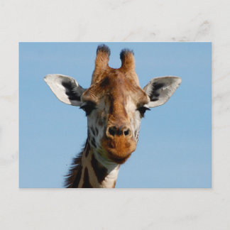 hallo briefkaart