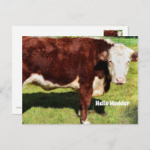 Hallo Briefkaart (Voorkant / Achterkant)