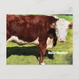 Hallo Briefkaart