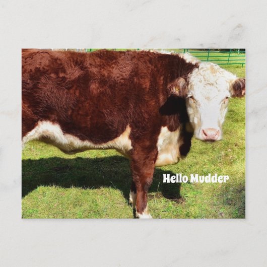 Hallo Briefkaart (Voorkant)