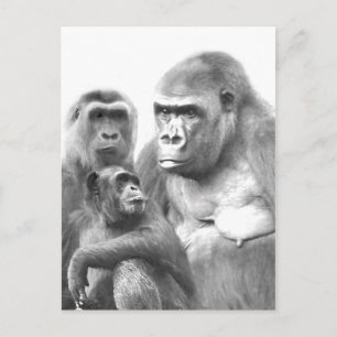 hallo_ Briefkaart