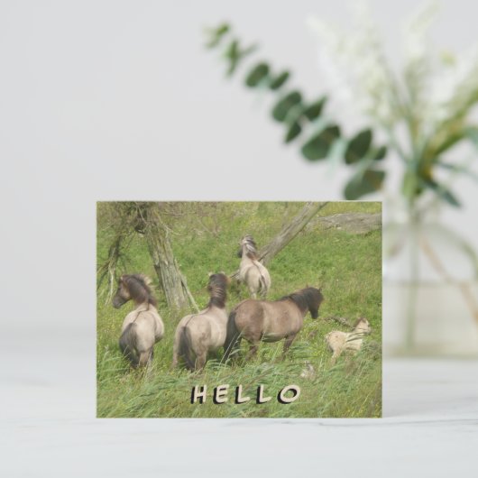 Hallo Briefkaart Mooie wilde paarden (Staand voorkant)