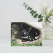 hallo bunny briefkaart (Staand voorkant)