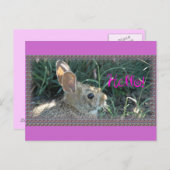 hallo Bunny Briefkaart (Voorkant / Achterkant)