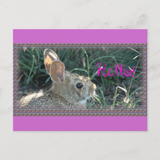 hallo Bunny Briefkaart (Voorkant)