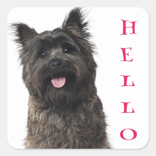 Hallo Cairn Terrier Puppy Dog Stickers (Voorkant)