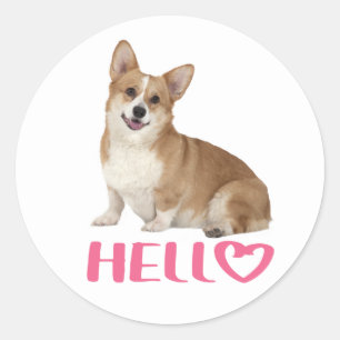 Hallo Cartoon Pembroke Welsh Corgi Ronde Sticker
