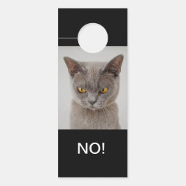 Hallo Cat Moods Happy & Angry Double Sided!