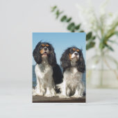 hallo Cavalier King Charles Spaniel Puppy Dog Briefkaart (Staand voorkant)