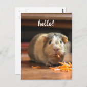 Hallo Cavia Funny Briefkaart (Voorkant / Achterkant)