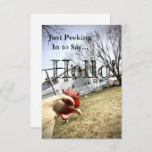 "Hallo!" Chicken Card Bedankkaart (Voorkant / Achterkant)