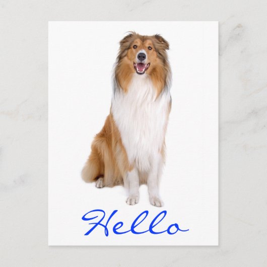 hallo Collie Puppy Dog Greeting Briefkaart (Voorkant)