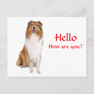 hallo Collie Puppy Dog Greeting Briefkaart