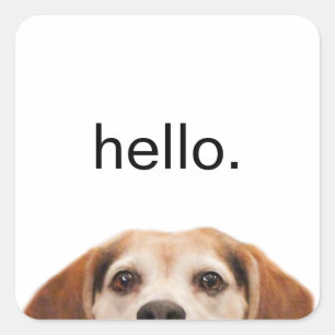 hallo Cute Funny Beagle Dog Modern Trendy Vierkante Sticker