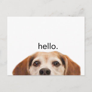 hallo Cute Funny Beagle Dog Nose Briefkaart