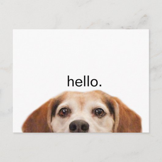 hallo Cute Funny Beagle Dog Nose Briefkaart (Voorkant)