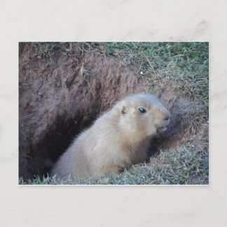 Hallo daar briefkaart