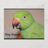 Hallo daar! briefkaart (Voorkant)