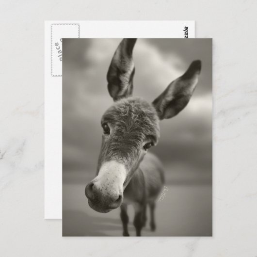 Hallo daar briefkaart (Voorkant / Achterkant)