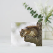 hallo daar briefkaart (Staand voorkant)