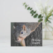 hallo, daar, Cute Squirrel Foto Briefkaart (Staand voorkant)