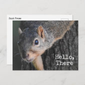 hallo, daar, Cute Squirrel Foto Briefkaart (Voorkant / Achterkant)