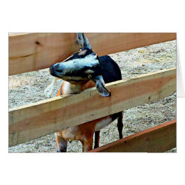 hallo daar! Geitenvlees Wenskaart