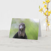 Hallo daar kaart (Gele Bloem)