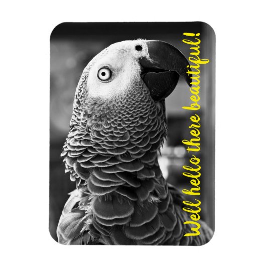 Hallo daar mooi - een griezelige grijze papegaai magneet (Verticaal)