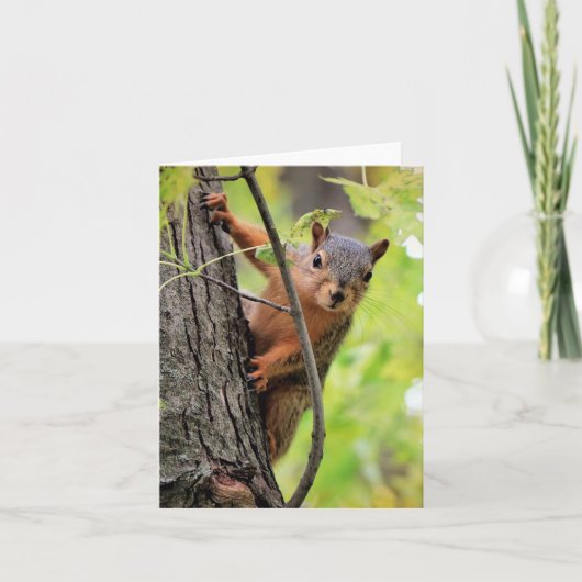 Hallo Daar Note Kaart (Voorkant)