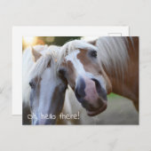 Hallo daar! Paardenfoto Briefkaart (Voorkant / Achterkant)