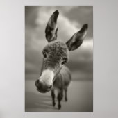 Hallo daar poster (Voorkant)