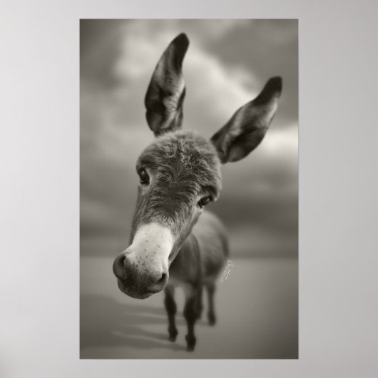 Hallo daar poster (Voorkant)